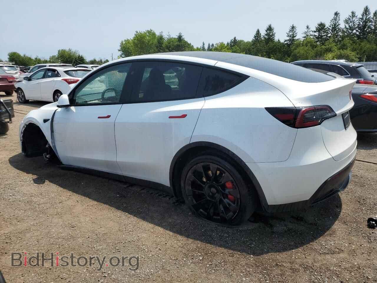 2024 TESLA MODEL Y - VIN: 7SAYGDEE9RF083729 - Фото 2