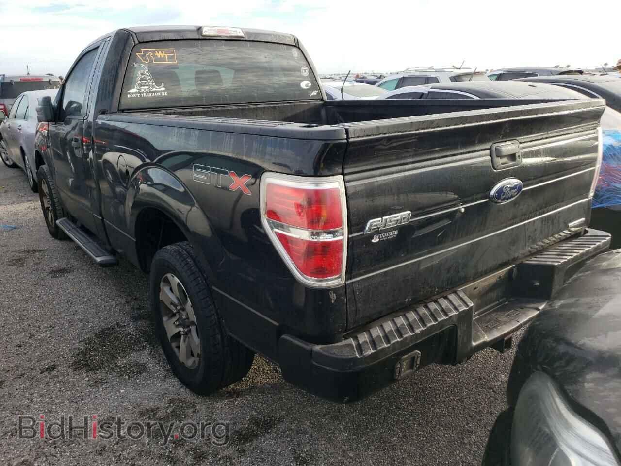 2013 FORD F150 - VIN: 1FTMF1CM6DFD94496 - Фото 3