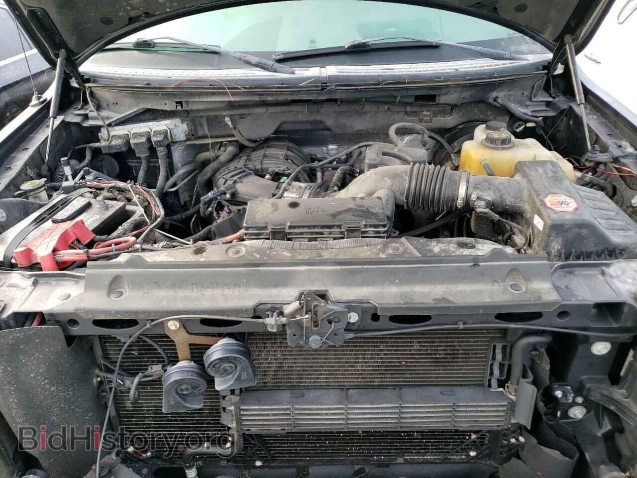 2013 FORD F150 - VIN: 1FTMF1CM6DFD94496 - Фото 7