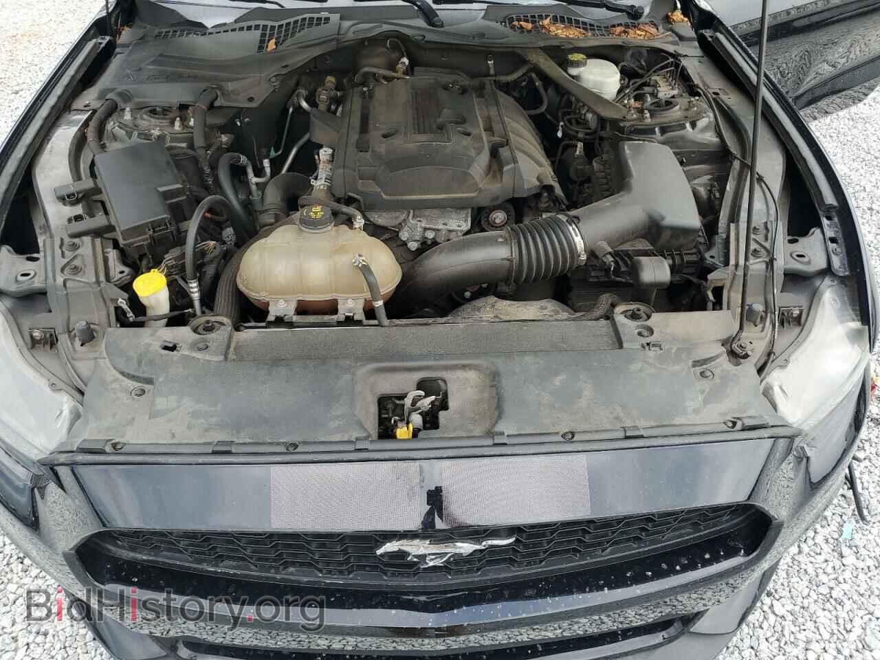 2016 FORD ALL Models - VIN: 1FA6P8TH4G5331091 - Фото 11
