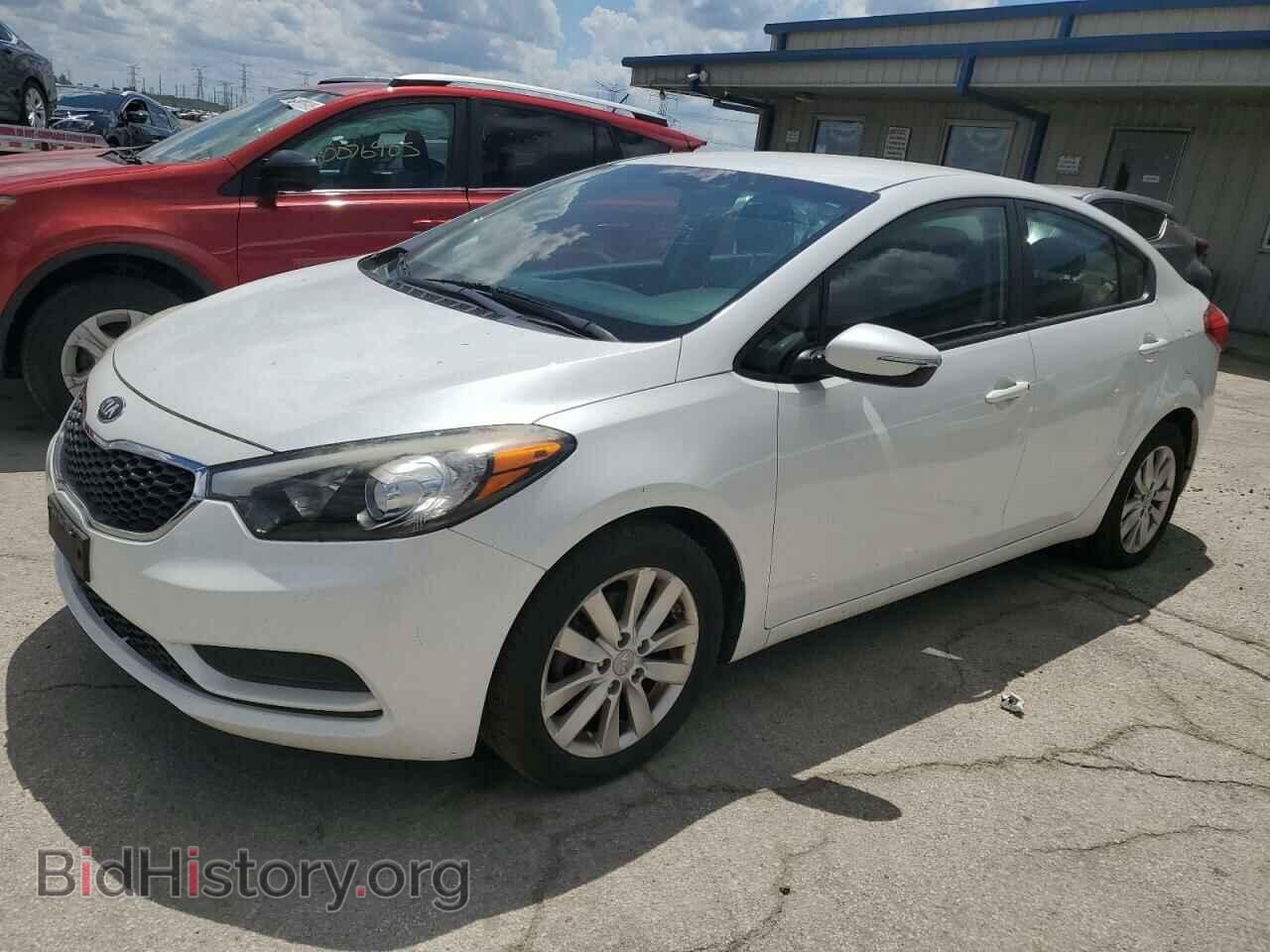 Фотография KNAFX4A67E5234563 - KIA FORTE 2014