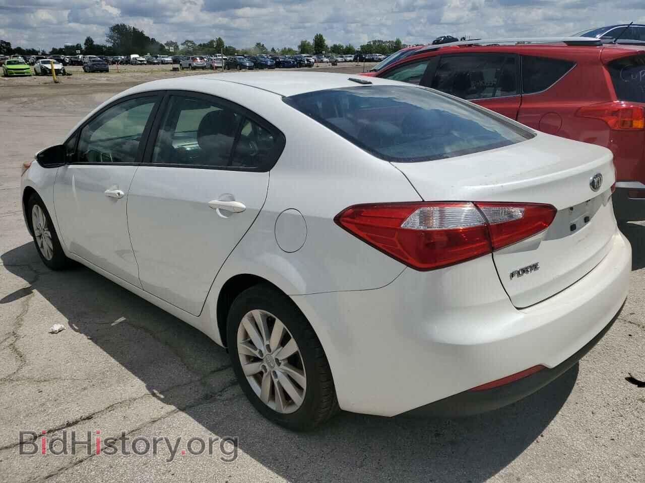 2014 KIA FORTE - VIN: KNAFX4A67E5234563 - Фото 2