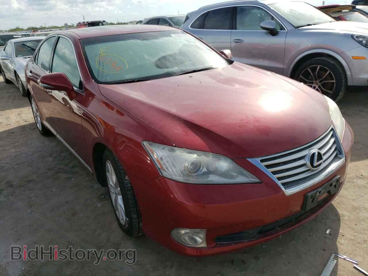 Фотография JTHBK1EG2A2364603 - LEXUS ES350 2010