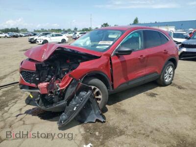 2022 Ford ESCAPE SE, красный — VIN 1FMCU9G68NUB98807, Copart