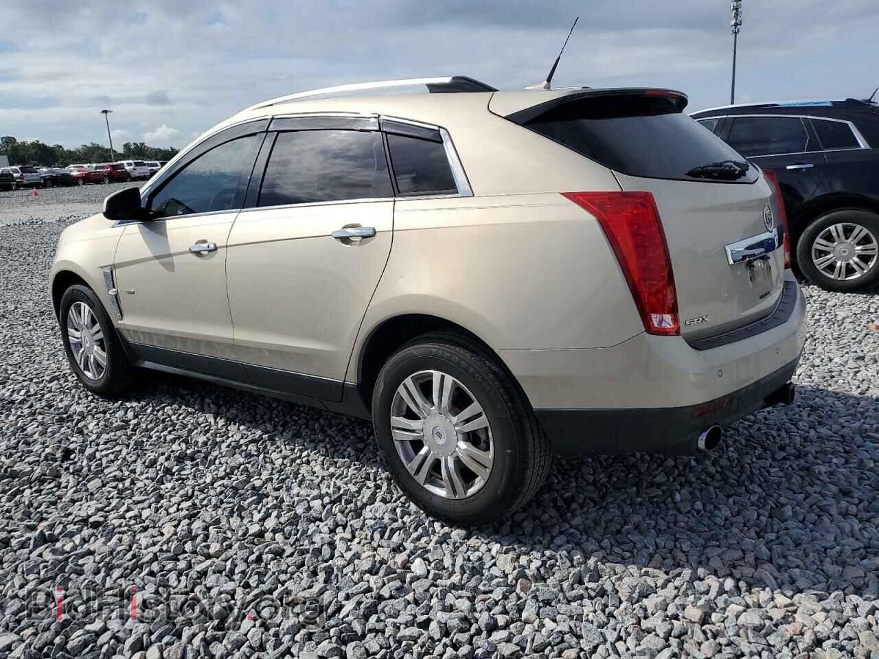 2010 CADILLAC SRX - VIN: 3GYFNAEY3AS548191 - Фото 2