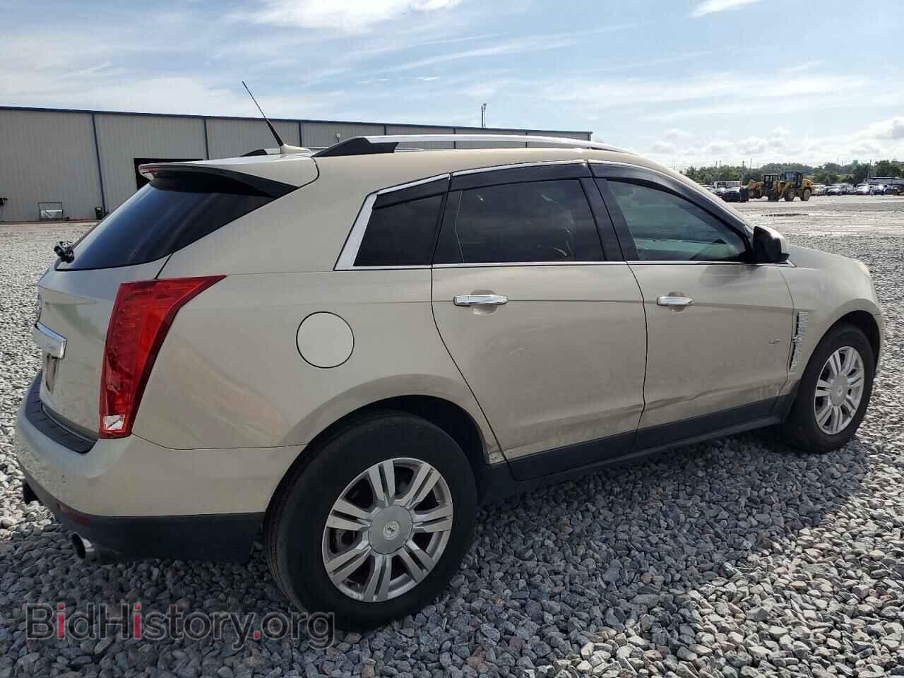 2010 CADILLAC SRX - VIN: 3GYFNAEY3AS548191 - Фото 3