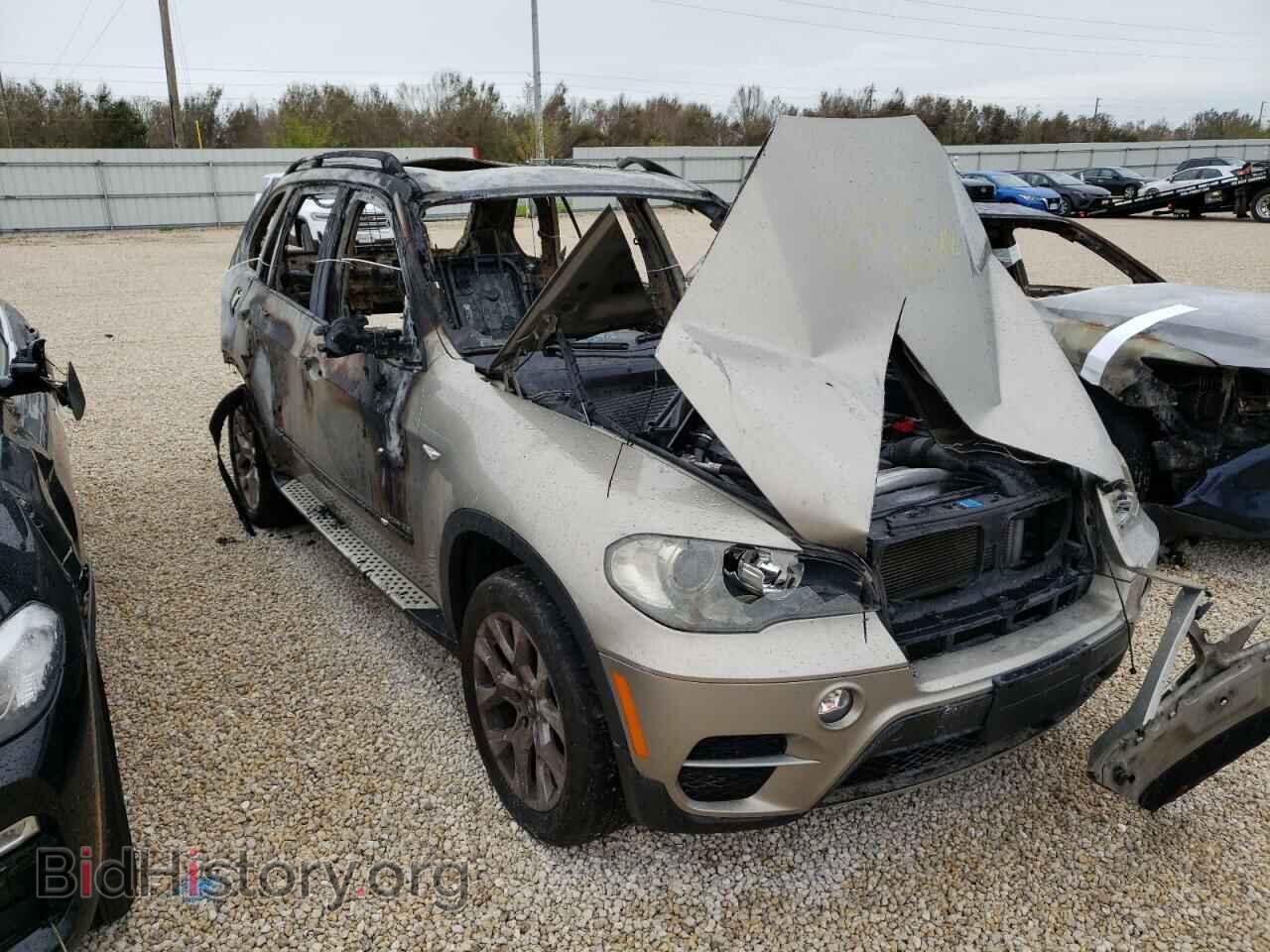 Photo 5UXZV4C59BL407600 - BMW X5 2011