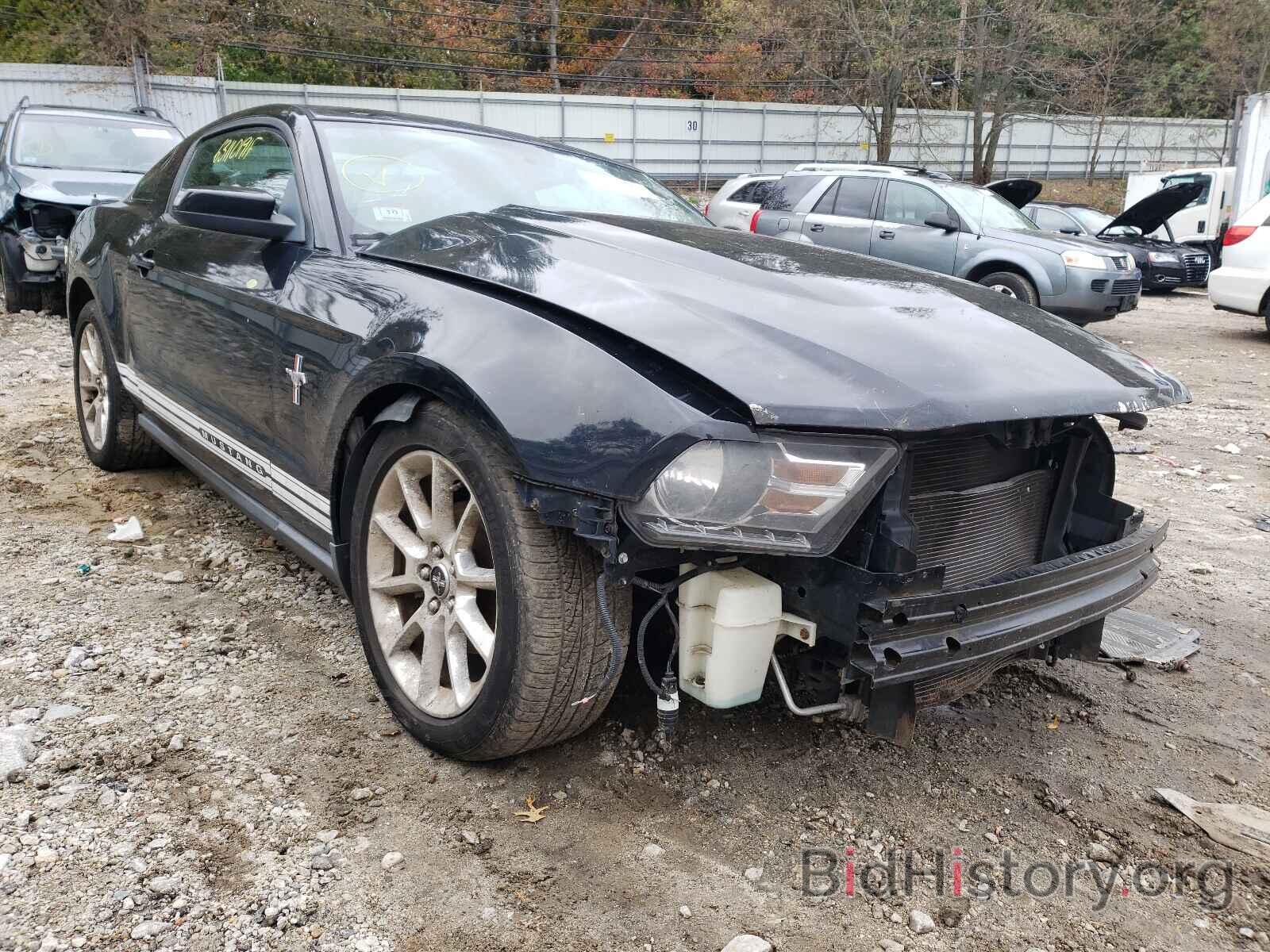 Photo 1ZVBP8AN1A5131999 - FORD MUSTANG 2010