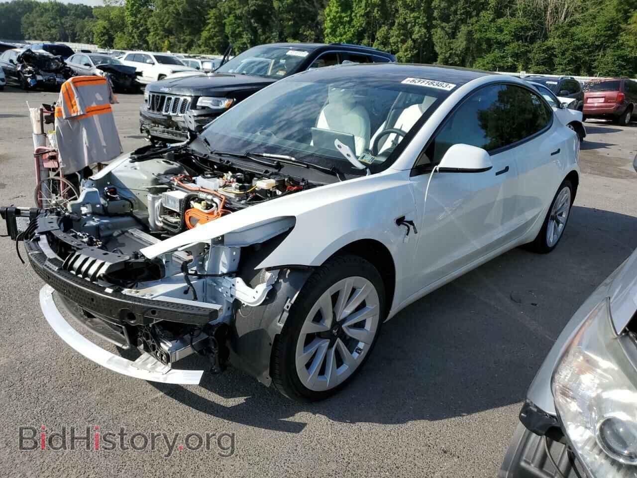 Photo 5YJ3E1EA1PF511492 - TESLA MODEL 3 2023