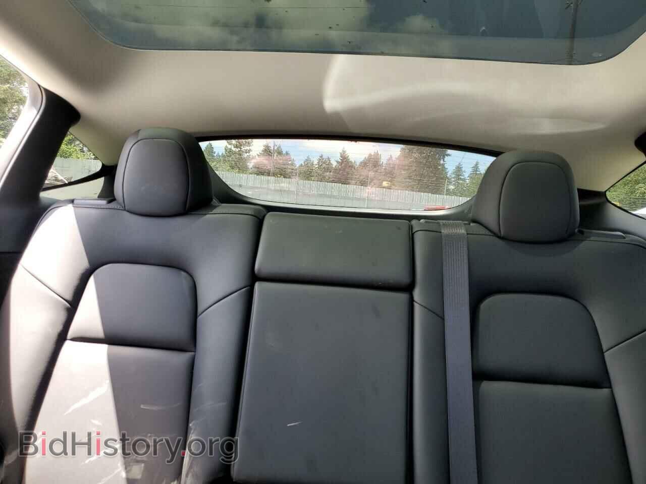 2024 TESLA MODEL Y - VIN: 7SAYGDED1RF053003 - Фото 10