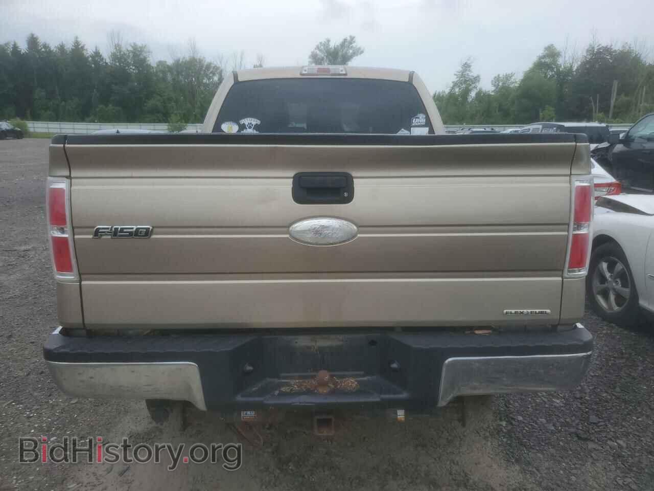 2011 FORD F-150 - VIN: 1FTEX1EM0BFD37478 - Фото 6