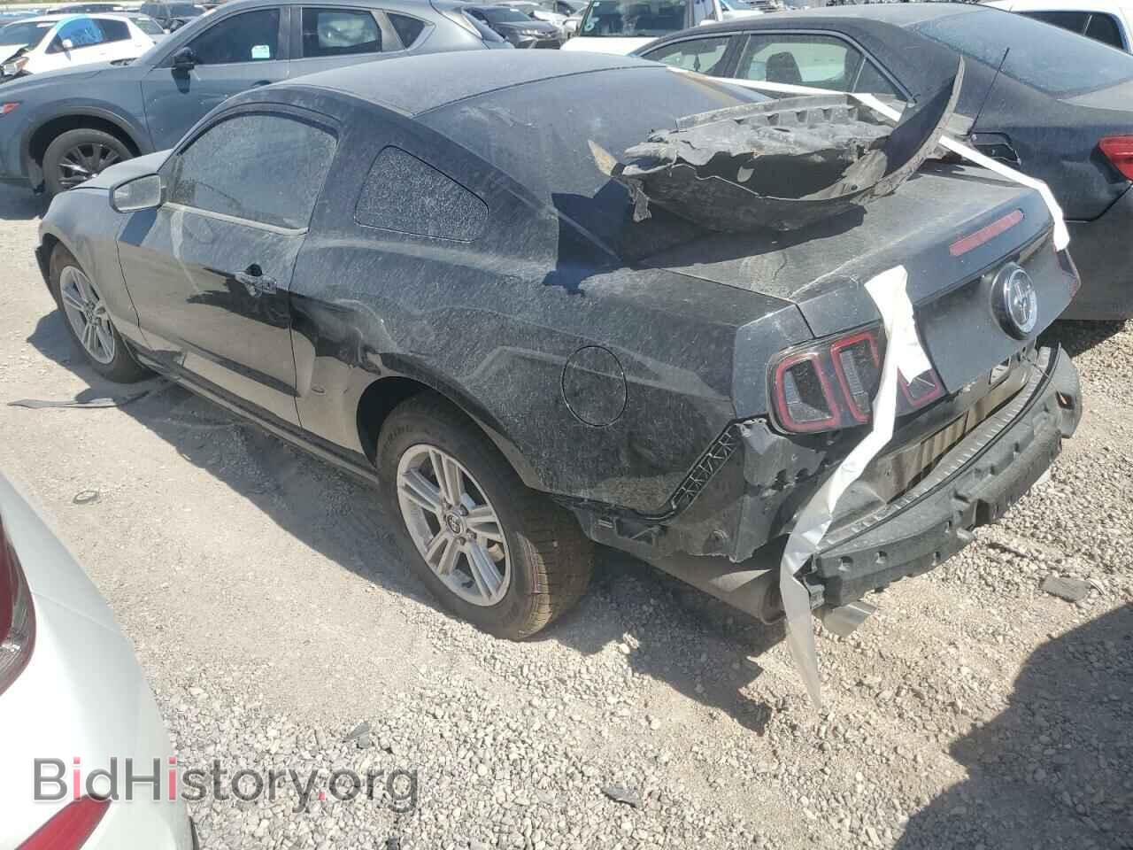 2013 FORD ALL Models - VIN: 1ZVBP8AM2D5272124 - Фото 2
