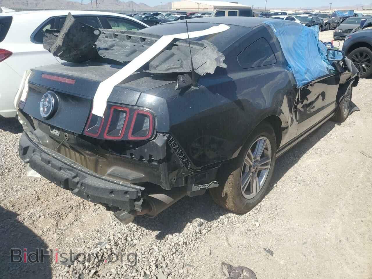 2013 FORD ALL Models - VIN: 1ZVBP8AM2D5272124 - Фото 3