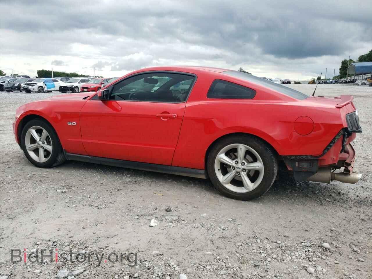 2012 FORD MUSTANG - VIN: 1ZVBP8CF9C5206599 - Фото 2