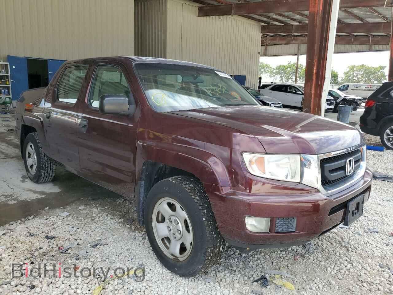 Фотография 5FPYK1F21BB006042 - HONDA RIDGELINE 2011
