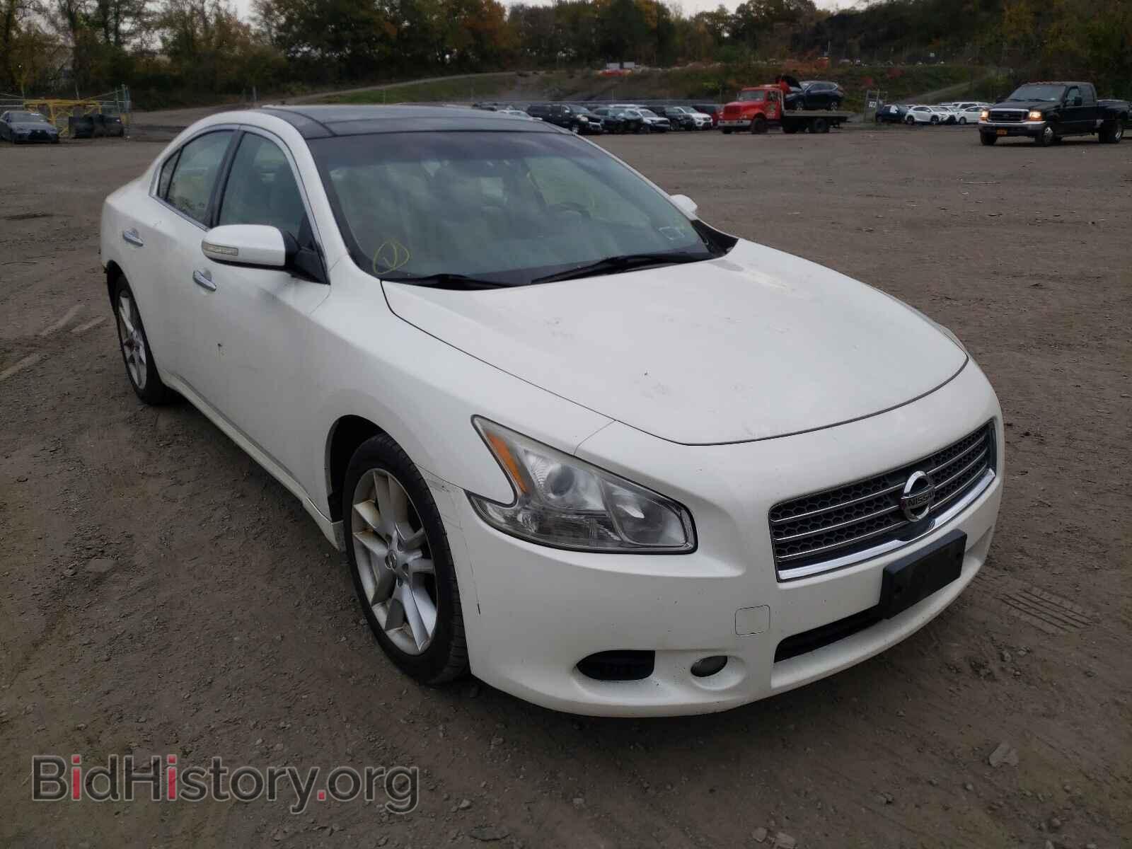 Photo 1N4AA5AP2AC802324 - NISSAN MAXIMA 2010