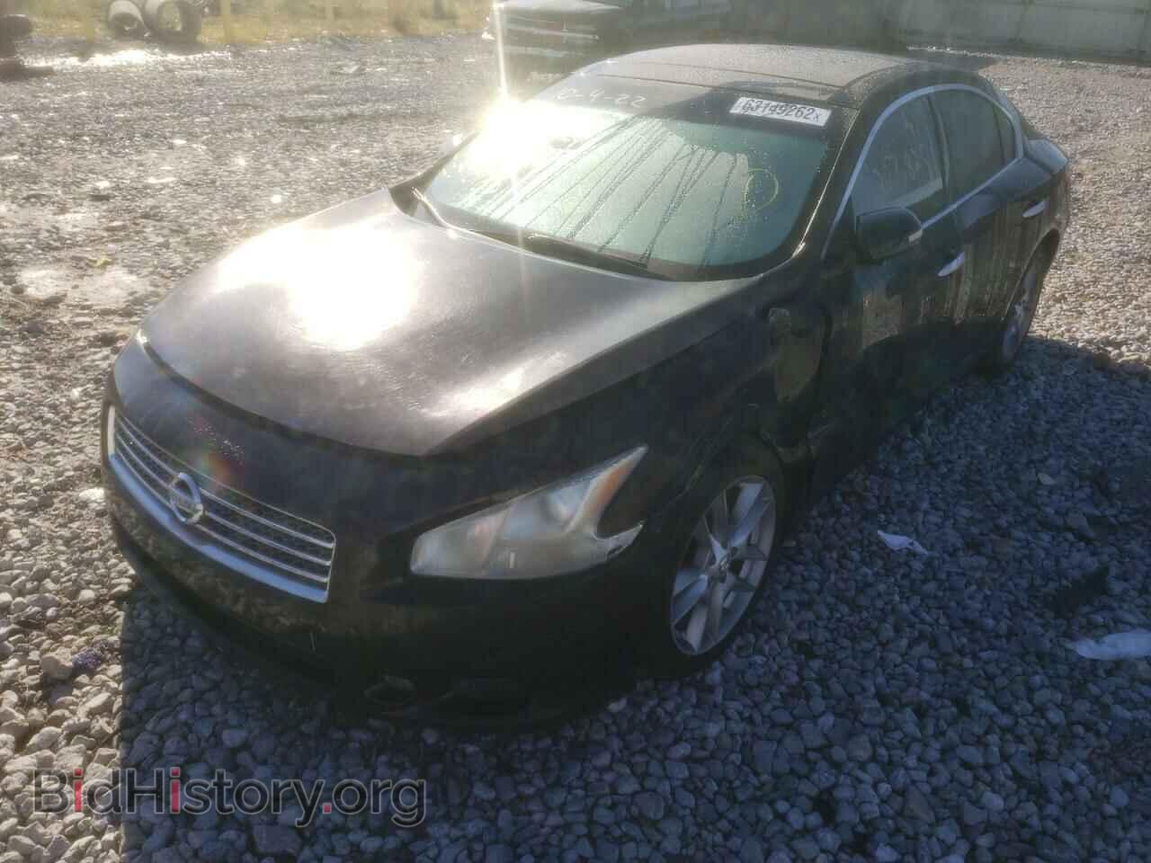 2010 NISSAN MAXIMA - VIN: 1N4AA5AP3AC851077 - Фото 2