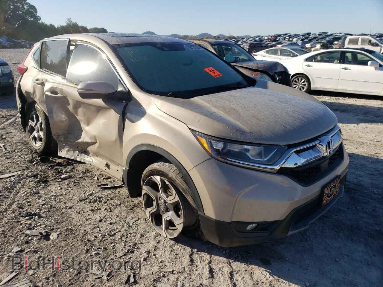 Photo 5J6RW2H51HL059225 - HONDA CRV 2017