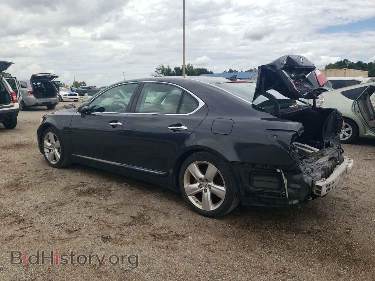 2010 LEXUS LS460 - VIN: JTHBL5EFXA5099505 - Фото 2