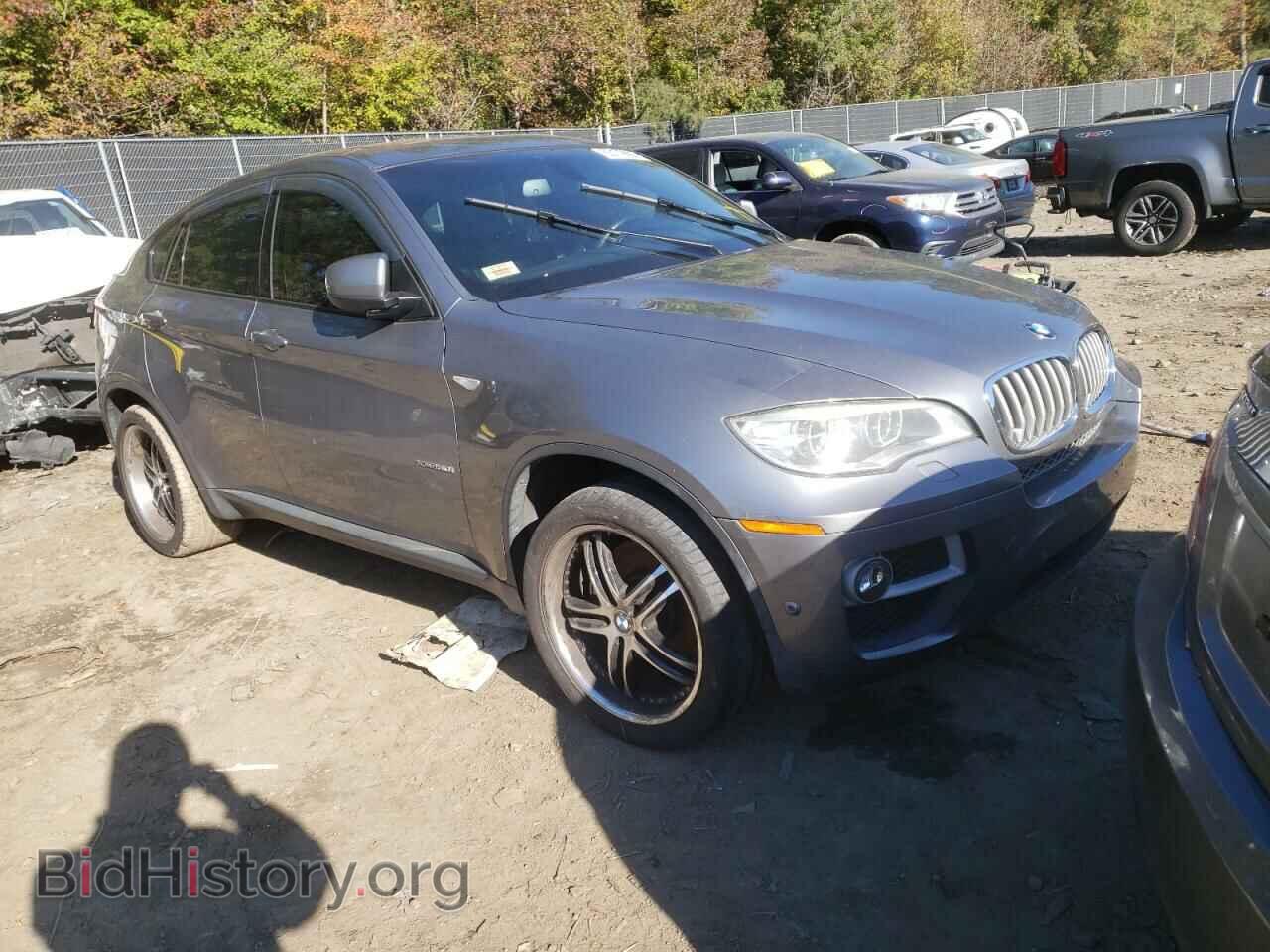 Photo 5UXFG8C52DL592287 - BMW X6 2013