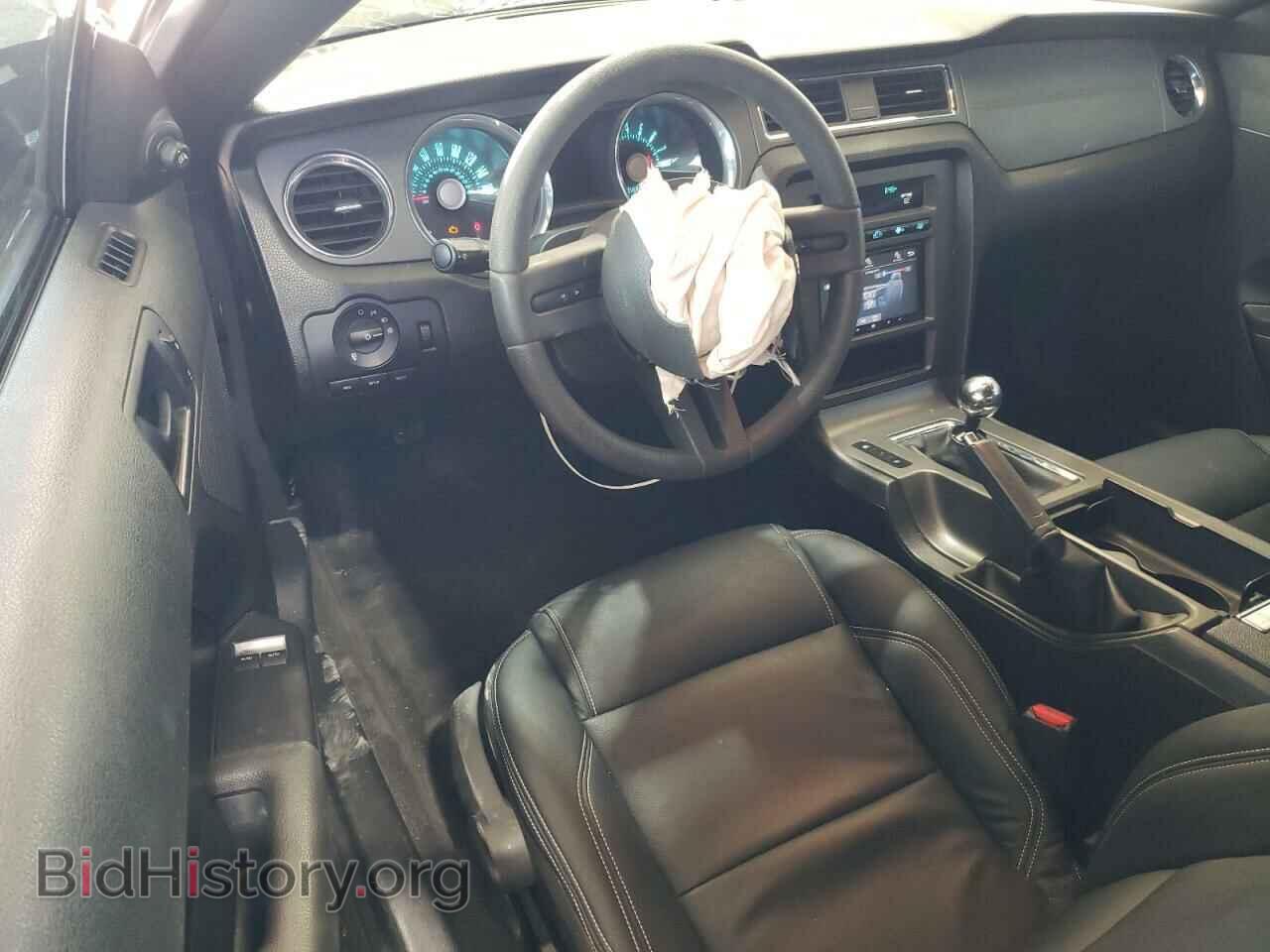 2011 FORD MUSTANG - VIN: 1ZVBP8CF9B5141901 - Фото 8