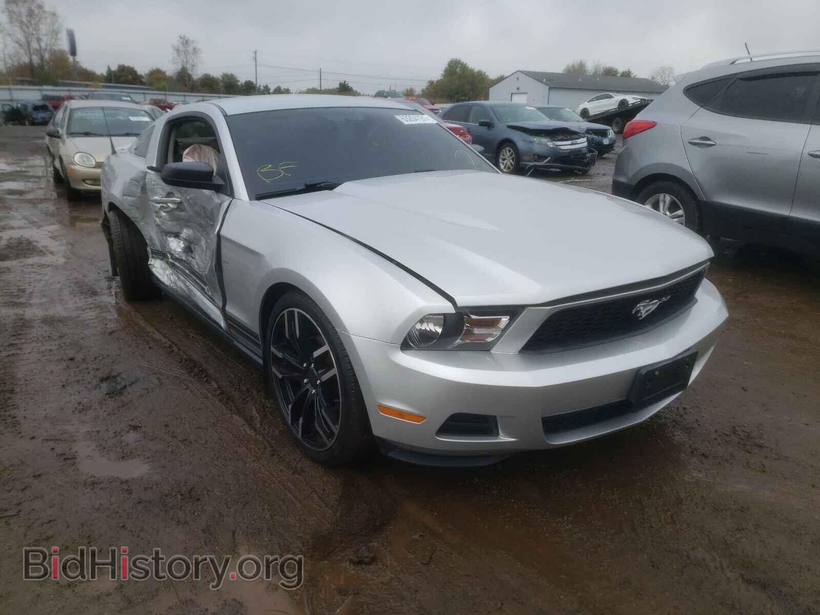 Фотография 1ZVBP8AN1A5128357 - FORD MUSTANG 2010