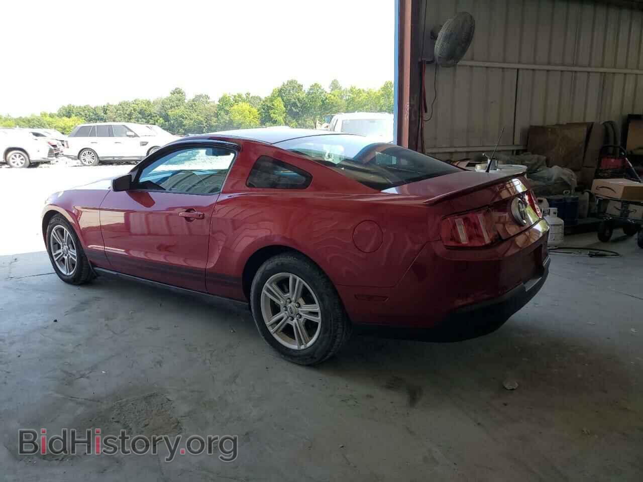 2010 FORD ALL Models - VIN: 1ZVBP8AN7A5129058 - Фото 2