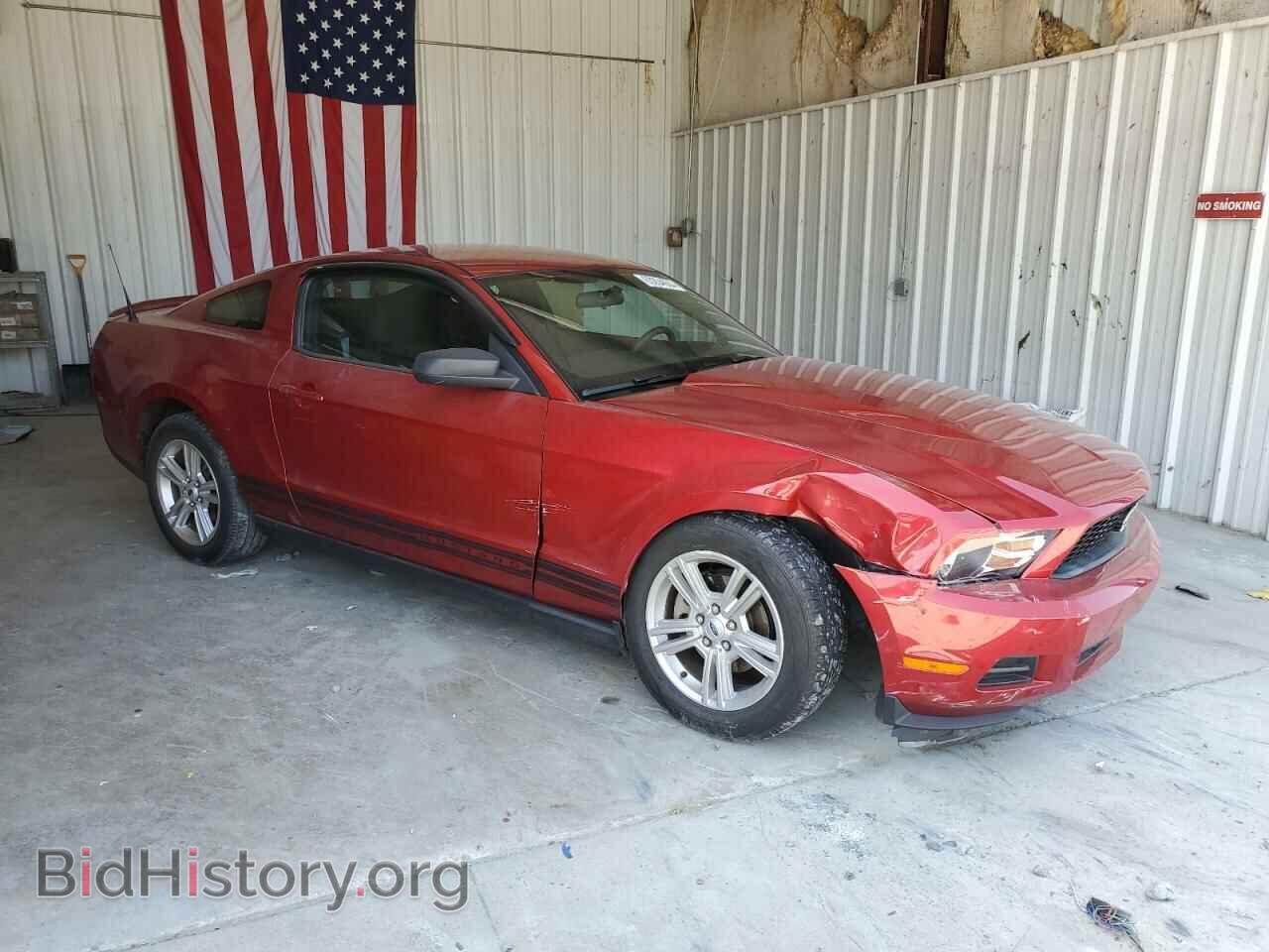 2010 FORD ALL Models - VIN: 1ZVBP8AN7A5129058 - Фото 4