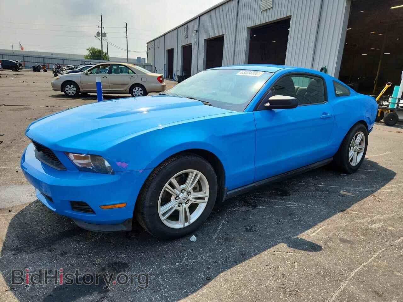 Фотография 1ZVBP8AM8C5278136 - FORD MUSTANG 2012