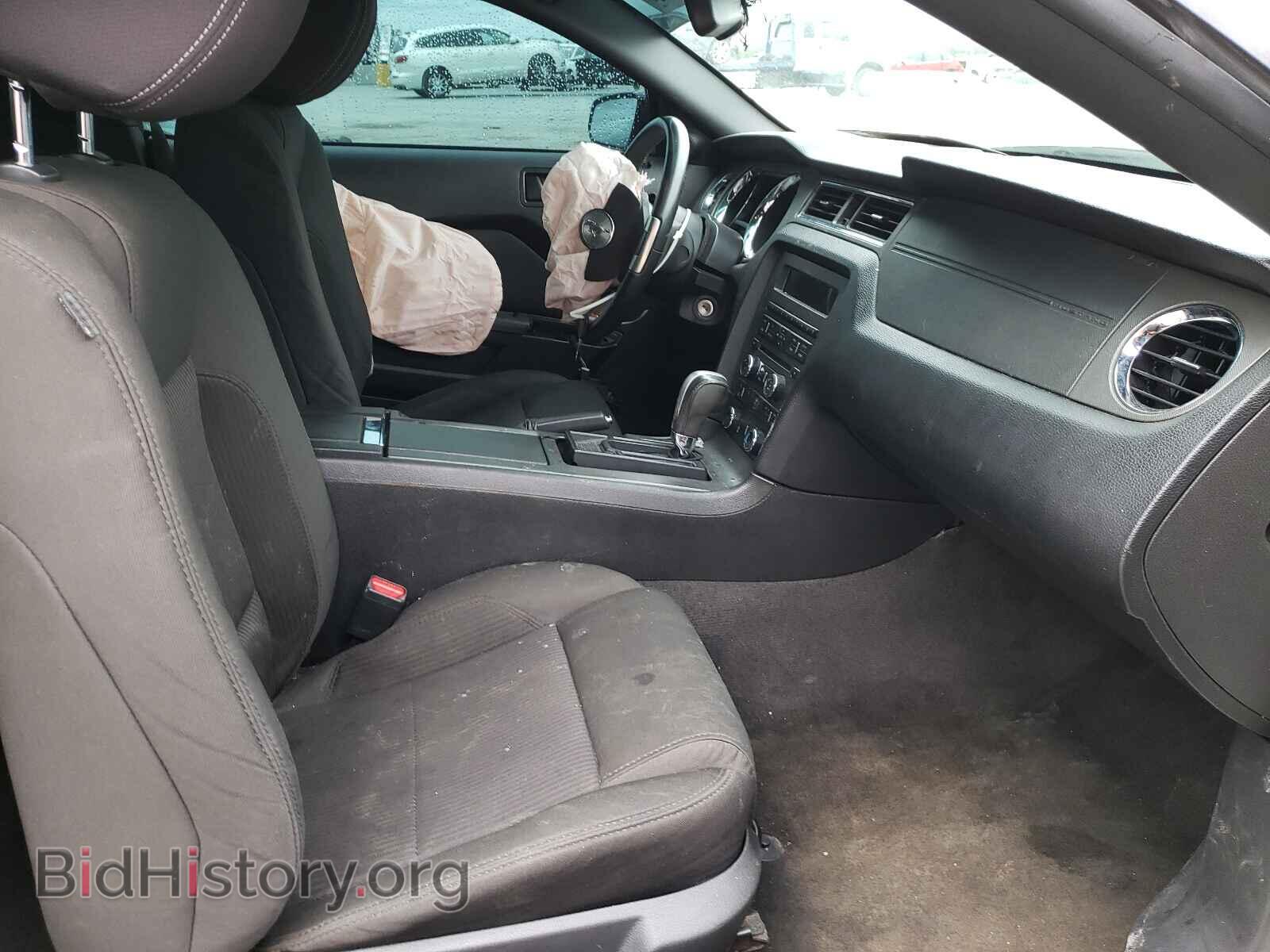 2013 FORD MUSTANG - VIN: 1ZVBP8AM2D5205409 - Фото 5