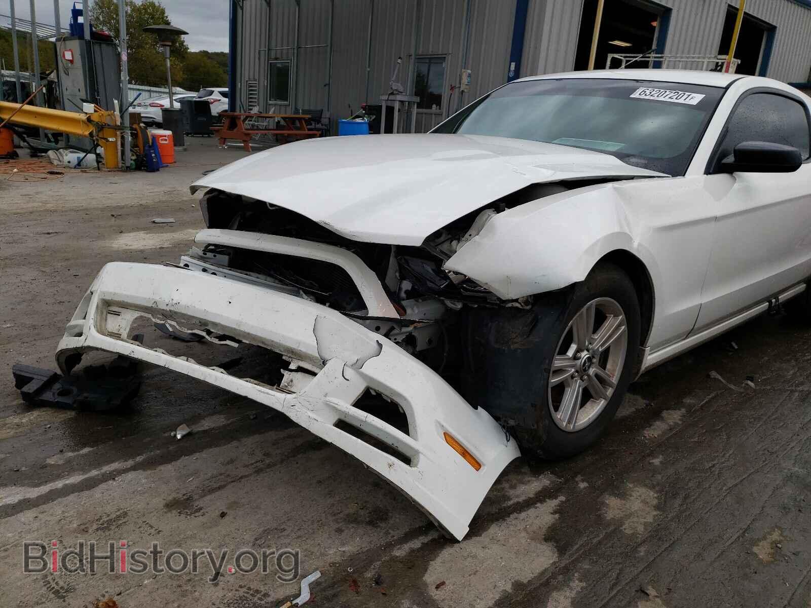 2013 FORD MUSTANG - VIN: 1ZVBP8AM2D5205409 - Фото 9