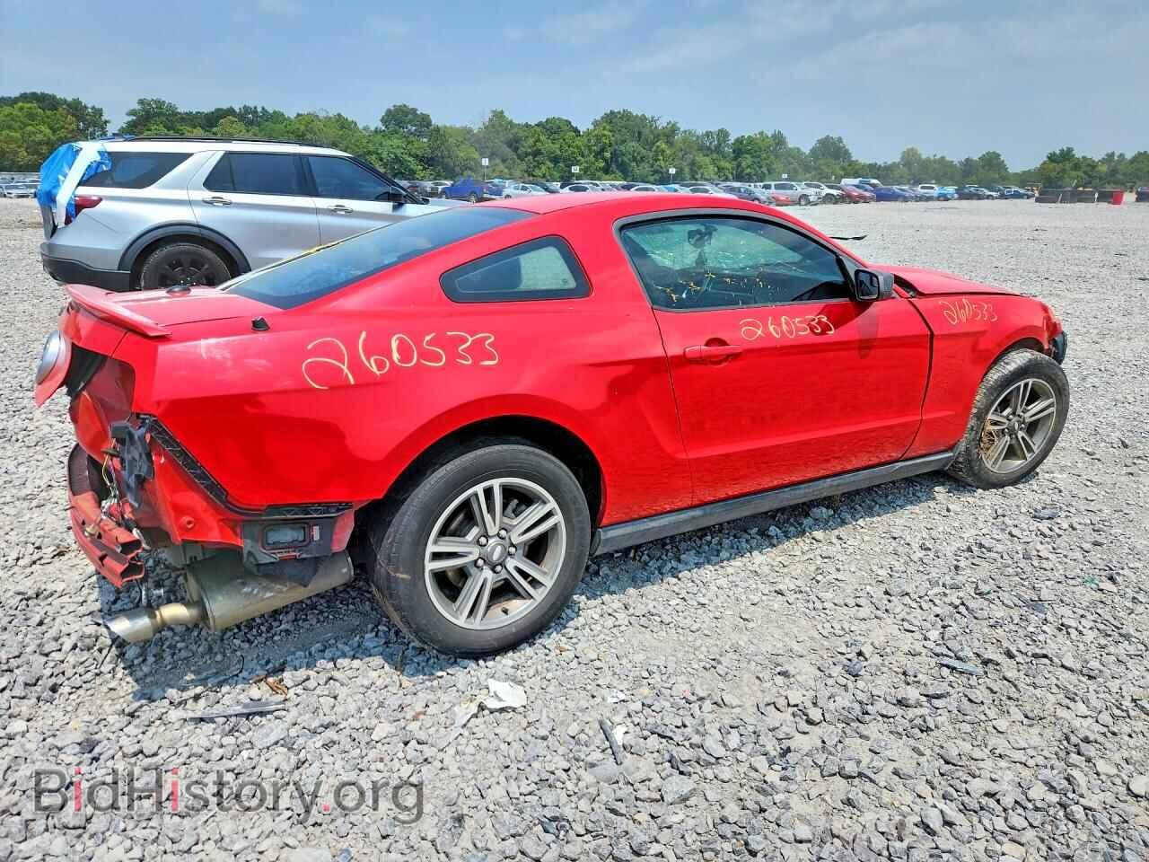 2011 FORD MUSTANG - VIN: 1ZVBP8AM0B5111641 - Фото 3