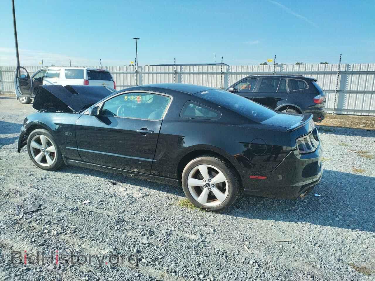 2013 FORD MUSTANG - VIN: 1ZVBP8CFXD5220335 - Фото 2