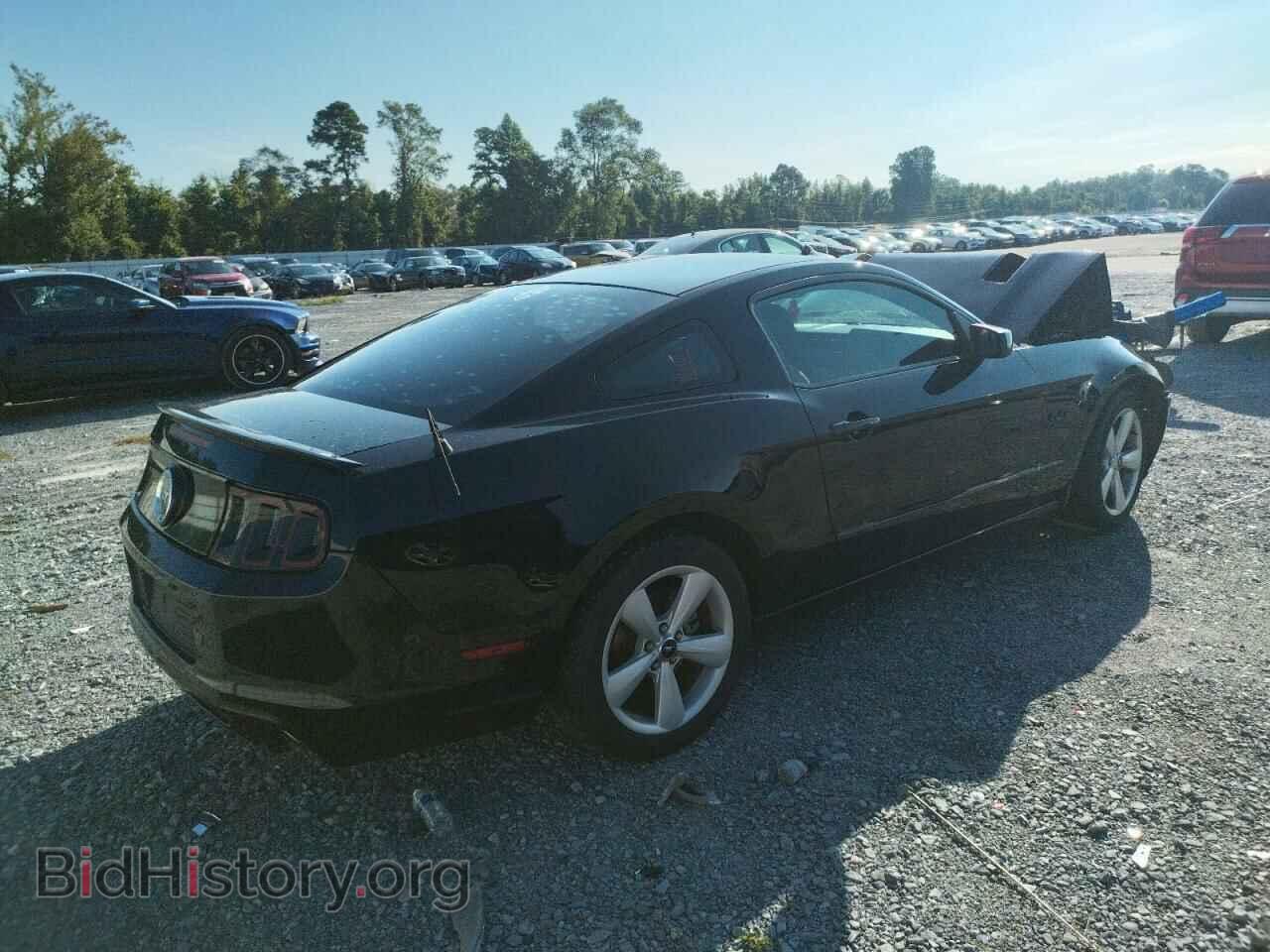 2013 FORD MUSTANG - VIN: 1ZVBP8CFXD5220335 - Фото 3