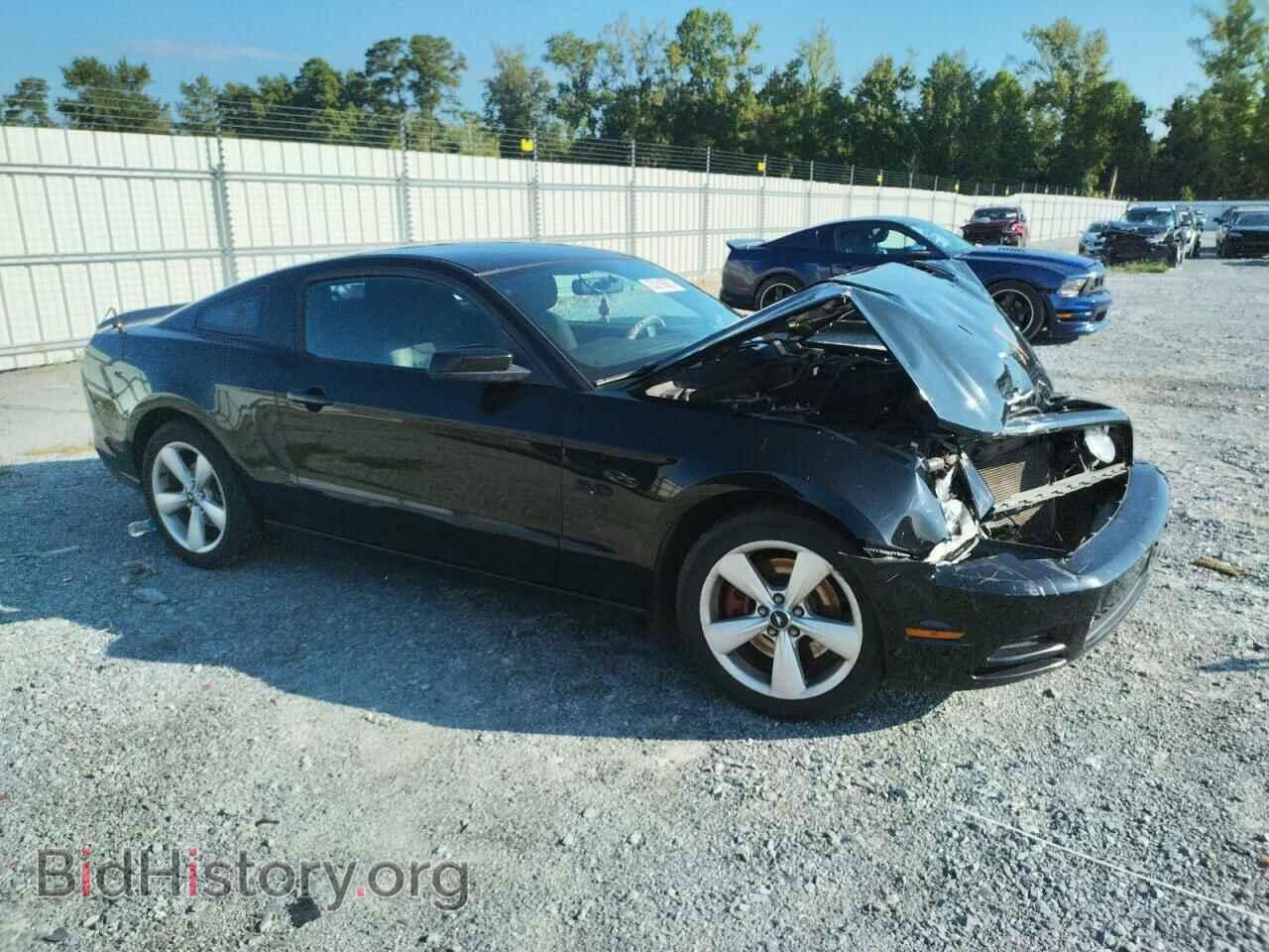 2013 FORD MUSTANG - VIN: 1ZVBP8CFXD5220335 - Фото 4
