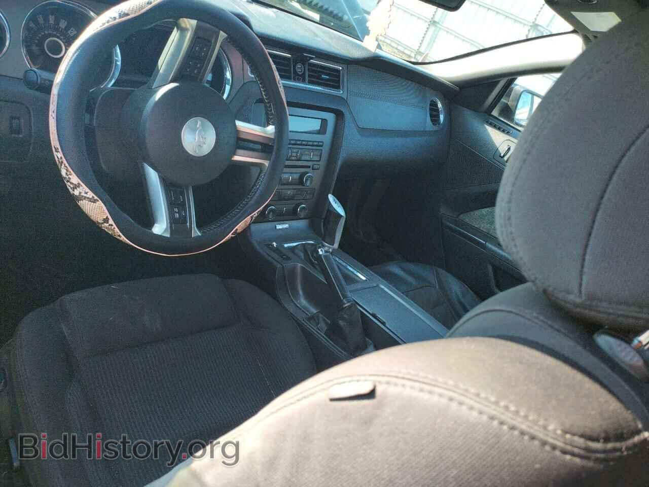 2013 FORD MUSTANG - VIN: 1ZVBP8CFXD5220335 - Фото 8