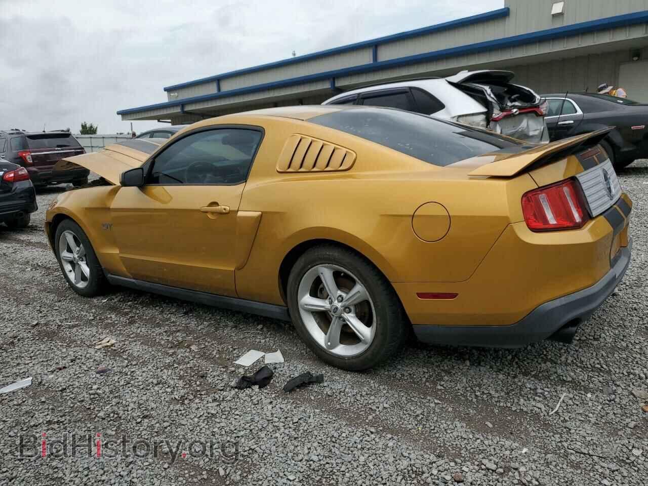 2010 FORD MUSTANG - VIN: 1ZVBP8CH8A5130193 - Фото 2