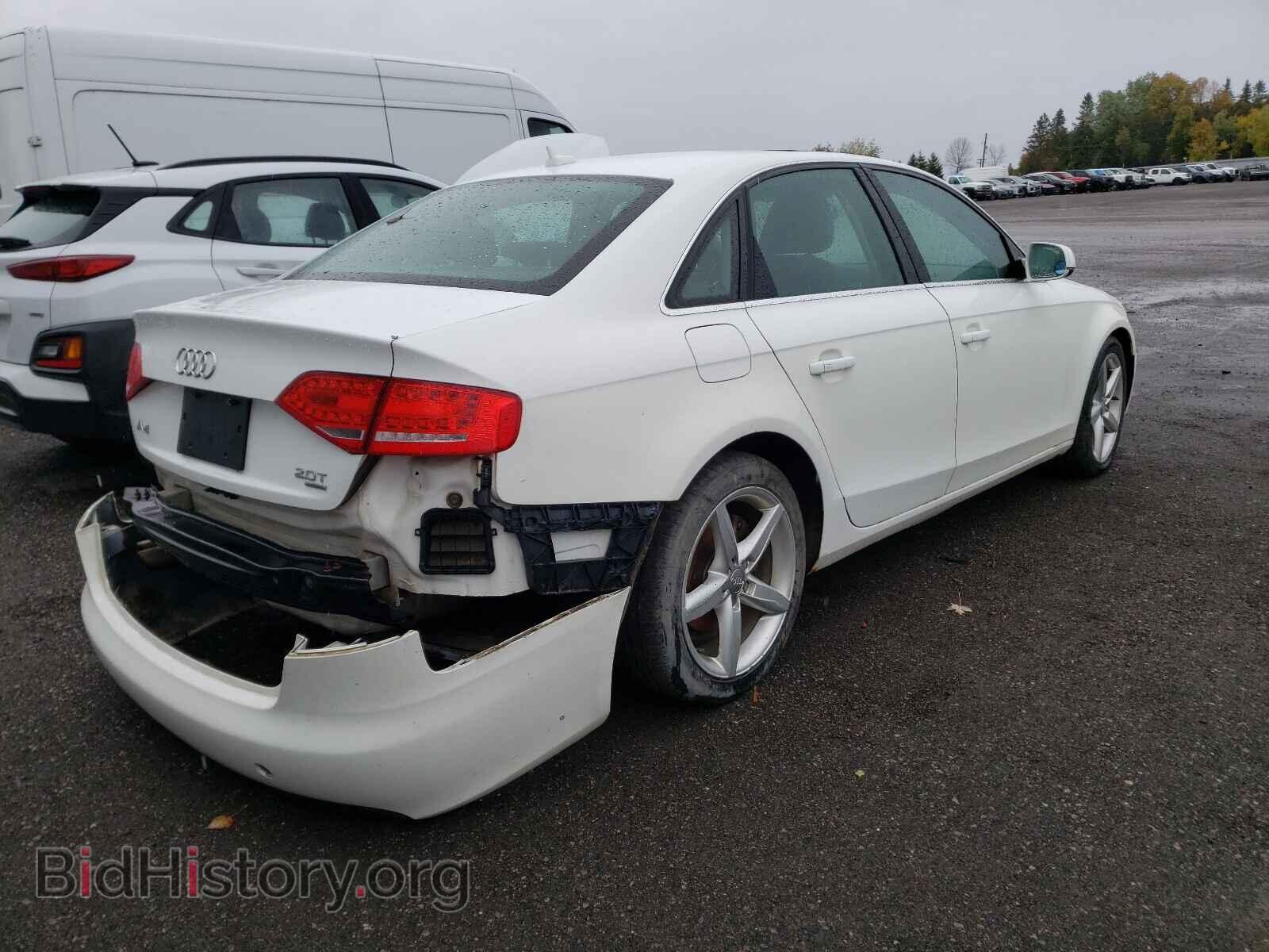 2010 AUDI A4 - VIN: WAUFFCFL0AN018799 - Фото 4