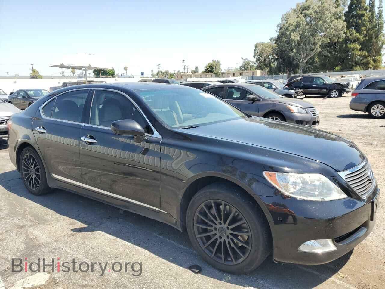 2009 LEXUS LS460 - VIN: JTHBL46F295086137 - Фото 4