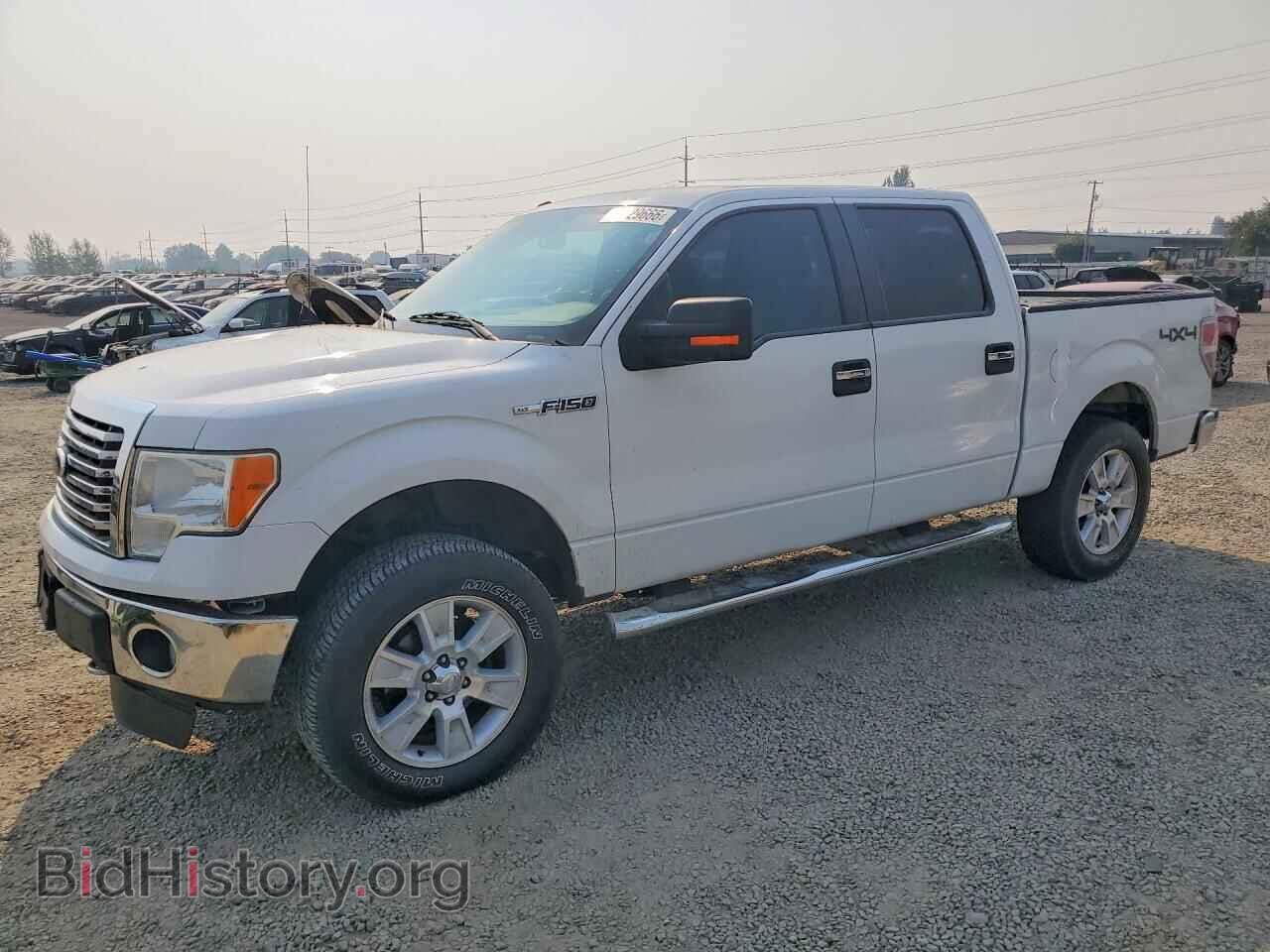Фотография 1FTFW1EF3BFB58246 - FORD F150 2011