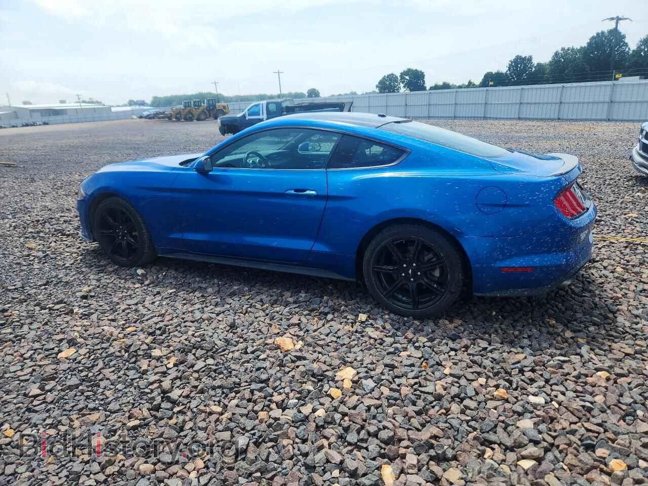 2019 Ford MUSTANG (VIN 1FA6P8TH1K5143427) — фото 2 из 13