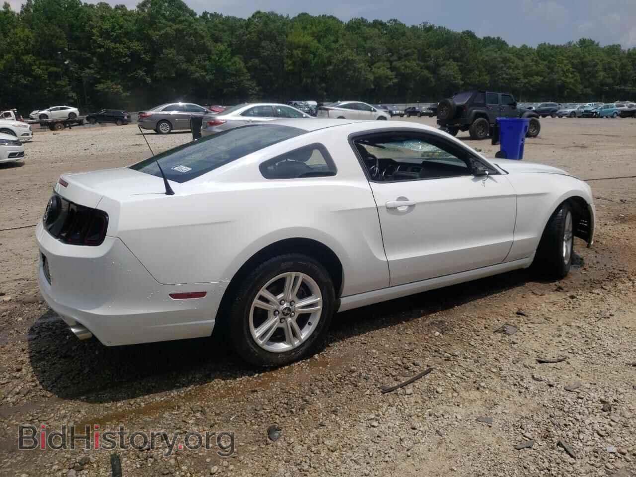 2014 FORD ALL Models - VIN: 1ZVBP8AM7E5218612 - Фото 3