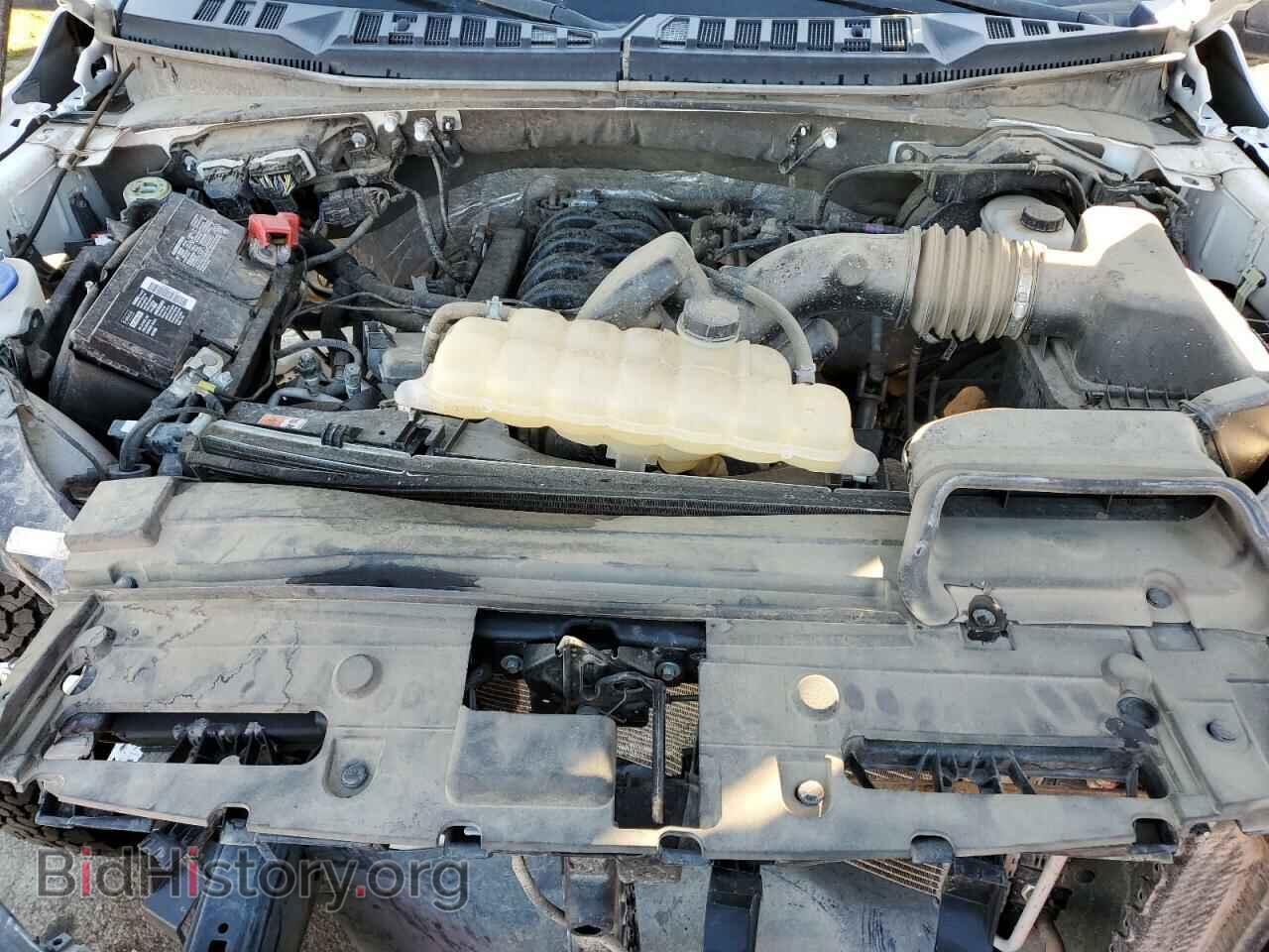 2017 FORD F150 - VIN: 1FTMF1EF7HKD76701 - Фото 7