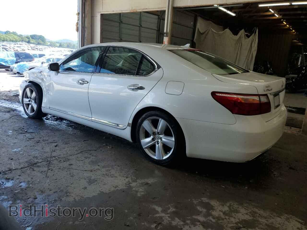 2010 LEXUS LS460 - VIN: JTHBL5EF4A5097295 - Photo 2