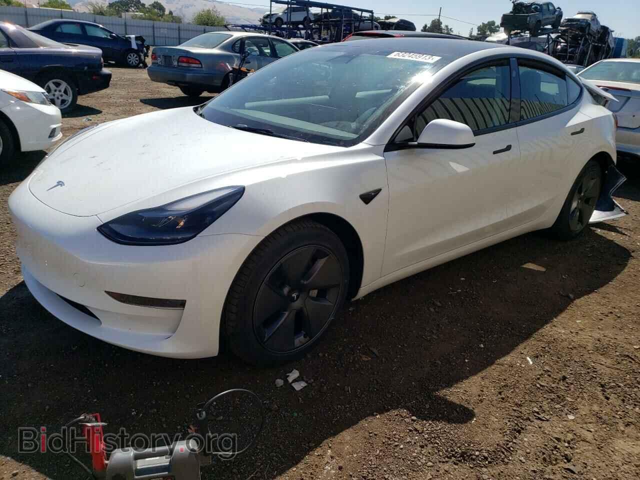 Фотография 5YJ3E1EAXPF459828 - TESLA MODEL 3 2023