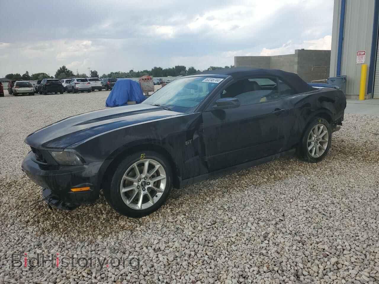 Фотография 1ZVBP8FH7A5118743 - FORD MUSTANG 2010