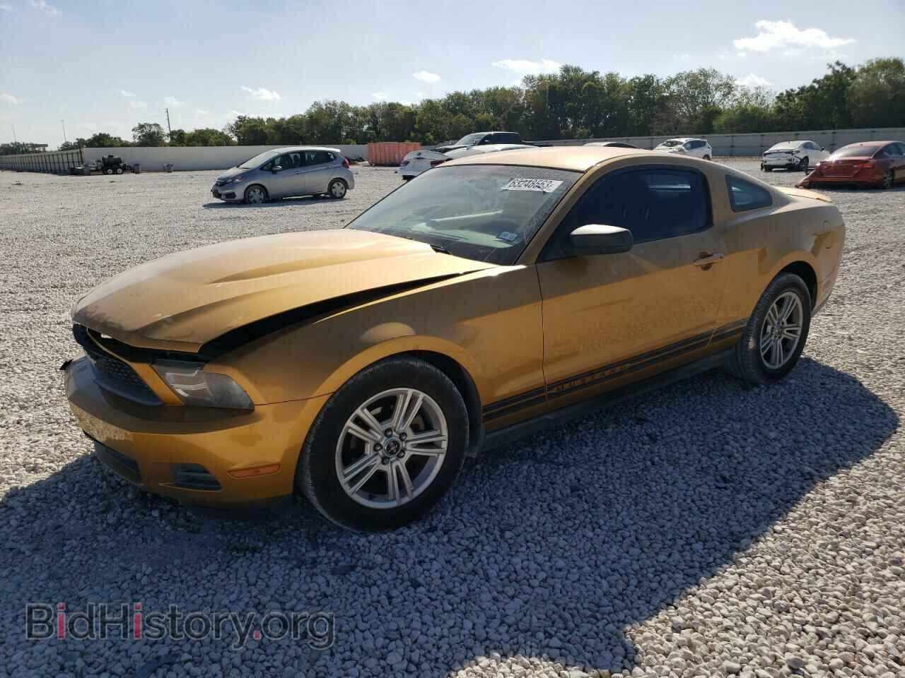 Photo 1ZVBP8AN0A5136885 - FORD ALL Models 2010