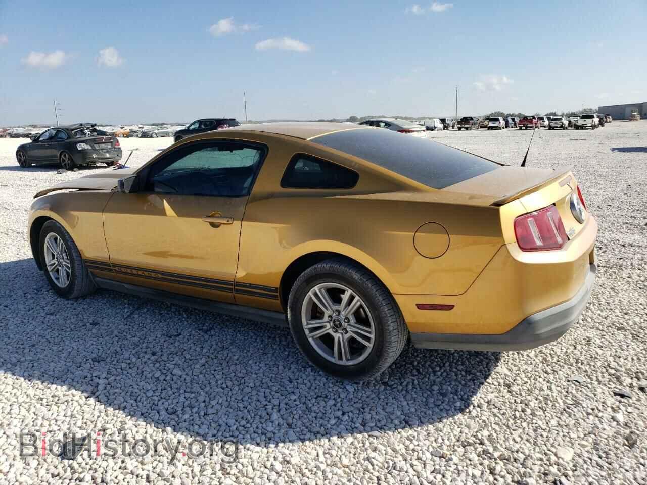 2010 FORD ALL Models - VIN: 1ZVBP8AN0A5136885 - Фото 2
