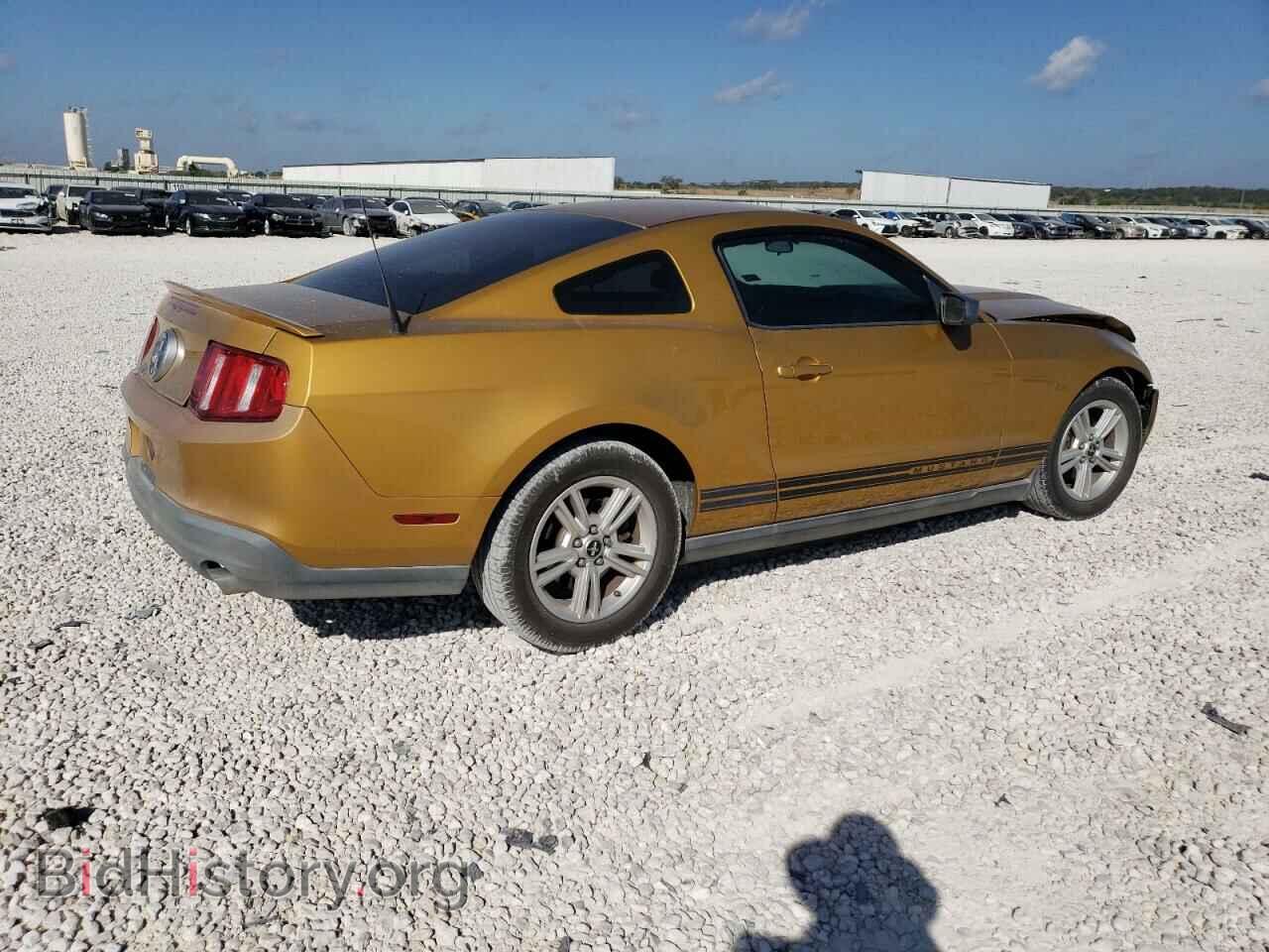 2010 FORD ALL Models - VIN: 1ZVBP8AN0A5136885 - Фото 3