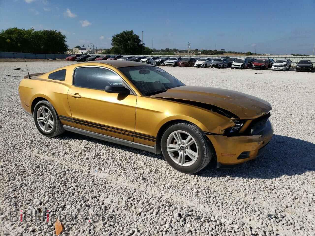 2010 FORD ALL Models - VIN: 1ZVBP8AN0A5136885 - Фото 4
